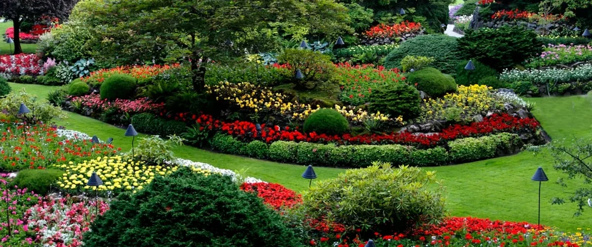 reussir lamenagement de son jardin